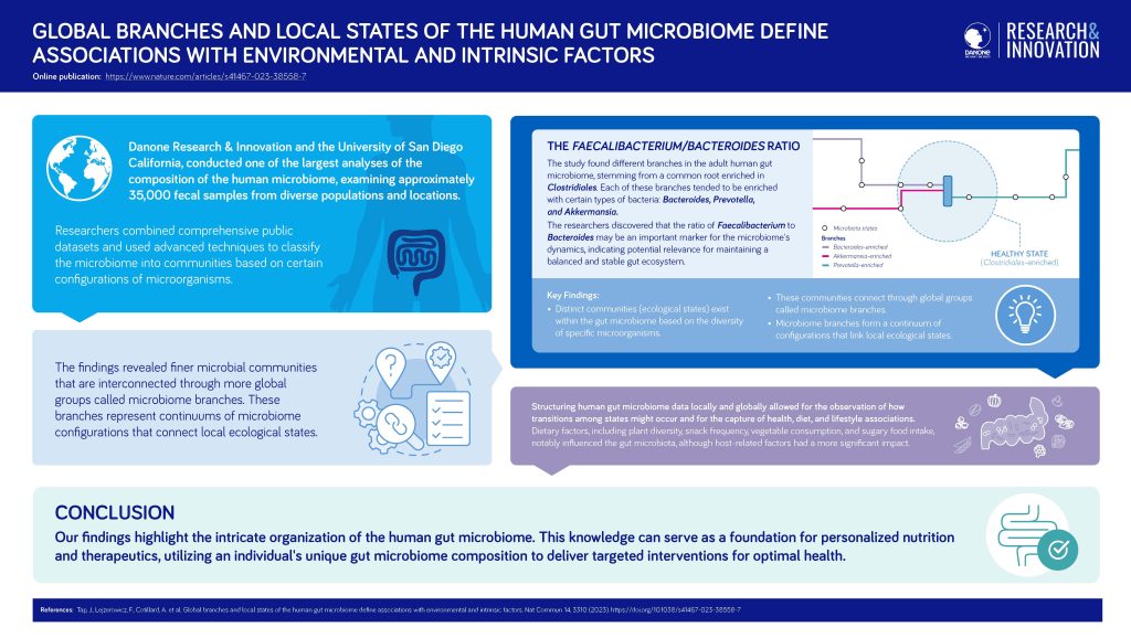 Analyse Local